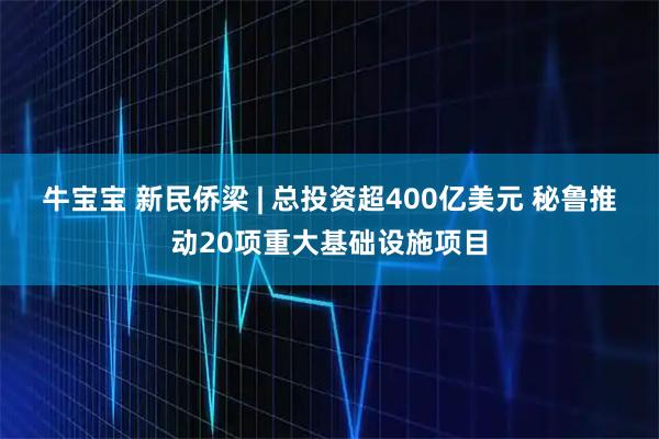 牛宝宝 新民侨梁 | 总投资超400亿美元 秘鲁推动20项重大基础设施项目