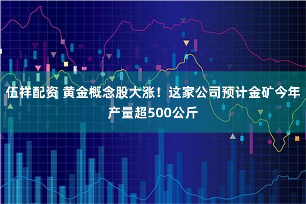 伍祥配资 黄金概念股大涨！这家公司预计金矿今年产量超500公斤